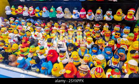 Amsterdam, Paesi Bassi - 3 dicembre 2024: Vetrina del negozio Mama Ducks. Negozio di souvenir sull'anatra alla gomma. Foto Stock