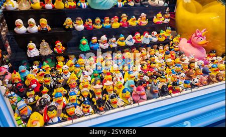 Amsterdam, Paesi Bassi - 3 dicembre 2024: Vetrina del negozio Mama Ducks. Foto Stock