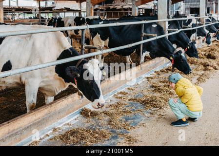 Bambino caucasico che dà da mangiare alle mucche in fattoria. Mandria di bovini da latte. Moderno stile di vita familiare in campagna. Agricoltura e agricoltura. Au Foto Stock