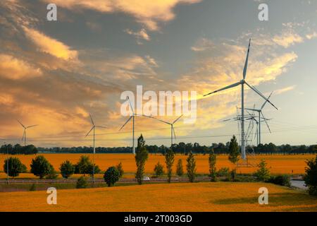 Turbina eolica su prato giallo contro il cielo blu nuvoloso nella zona rurale durante il tramonto. Parco dei mulini a vento con chiou tempestoso Foto Stock