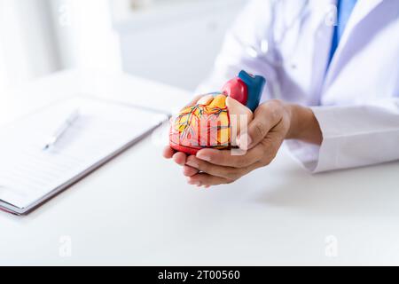 Medico con modello anatomico del cuore umano cardiologo supporta il cuore. cardiologia diagnosi controllo medico cardiologo in esame Foto Stock