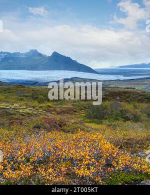 Splendida vista autunnale dal canyon di Mulagljufur al ghiacciaio di Fjallsarlon con la laguna ghiacciata di Breidarlon, Islanda. Non lontano dalla circonvallazione Foto Stock