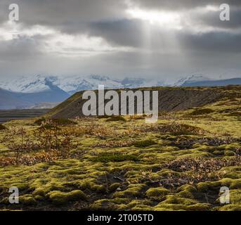 Islanda paesaggio autunnale tundra vicino al ghiacciaio Haoldukvisl, Islanda. La lingua glaciale scivola dalla cicogna Vatnajokull o Vatna Gl Foto Stock