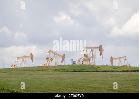 Diversi pozzi di produzione di petrolio greggio, un sito con martinetti in un'area rurale durante l'estate in Alberta Canada. Concetto: Petrolio e gas Foto Stock