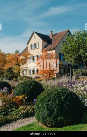 Casa con bel giardino in autunno. Fiori nel parco cittadino di Bietigheim-Bissingen, Baden-Wuerttemberg, Germania, Europa. Autunno Pa Foto Stock