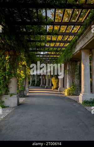 Pergola con piante verdi alla Centennial Hall di Breslavia. Polonia d'estate. Arcata del giardino in piena fioritura Biophilia desig Foto Stock