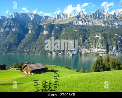 panorama con il lago di Walen turchese in svizzera. Montagne innevate, yacht, barche a vela e case in un bellissimo prato di fiori verdi di mele, Foto Stock