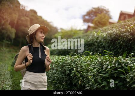 Donna spensierata e felice al mattino, immersa nella natura, Landmark Tea Plantation. raccolta del tè Foto Stock