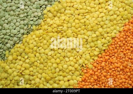 alimenti di base come lenticchie nei colori verde, rosso, arancione, giallo per i ristoranti vegetariani vegani o per il commercio di prodotti a base di cereali. strisce Foto Stock