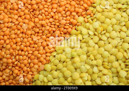 alimenti di base come lenticchie nei colori verde, rosso, arancione, giallo per i ristoranti vegetariani vegani o per il commercio di prodotti a base di cereali. Foto Stock