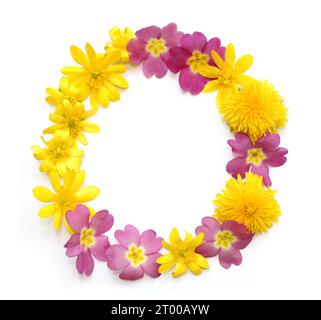 numero composto da fiori gialli e rosa appena raccolti. Isolato su sfondo bianco per la festa di compleanno, anniversario, zero, cerchio, 0,o lettera Foto Stock