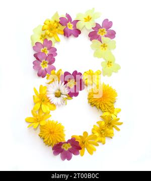 numero composto da fiori gialli e rosa appena raccolti. isolato su sfondo bianco per la festa di compleanno, anniversario, 8,80, 8 Foto Stock