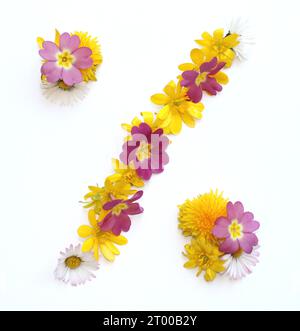 simboli, lettere fatte con fiori freschi di colore giallo, arancione. per feste di compleanno, anniversari, celebrazioni nuziali, eventi aziendali, percentuale % Foto Stock