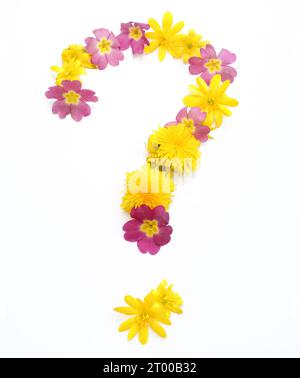 simboli, lettere fatte con fiori freschi di colore giallo, arancione. per feste di compleanno, anniversari, celebrazioni nuziali, eventi, punti interrogativi Foto Stock