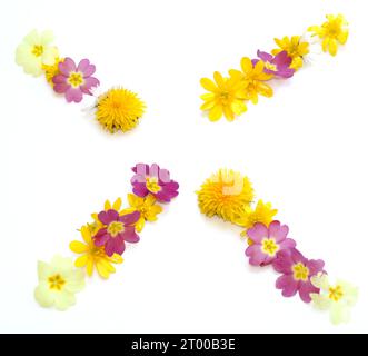 simboli, lettere fatte con fiori freschi di colore giallo, arancione. per feste di compleanno, anniversari, celebrazioni nuziali, eventi aziendali, travi solari Foto Stock