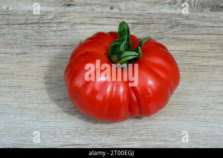 Pomodoro Costoluto Fiorentino maturo raccolto su fondo ligneo, Regno Unito, Europa Foto Stock