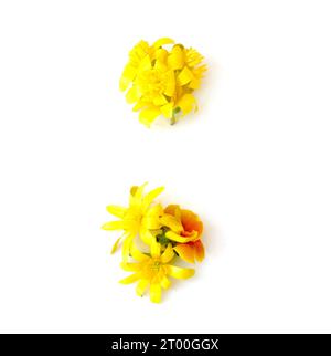 simboli, lettere fatte con fiori freschi di colore giallo, arancione. per feste di compleanno, anniversari, celebrazioni nuziali ed eventi aziendali, colon Foto Stock