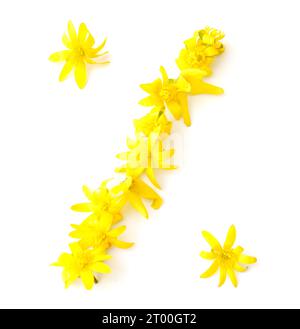 simboli, lettere fatte con fiori freschi di colore giallo, arancione. per feste di compleanno, anniversari, celebrazioni nuziali, eventi aziendali, percentuale % Foto Stock