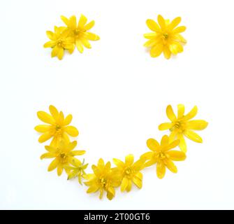 simboli, lettere fatte con fiori freschi di colore giallo, arancione. per feste di compleanno, anniversari, celebrazioni nuziali, eventi aziendali, sorriso Foto Stock