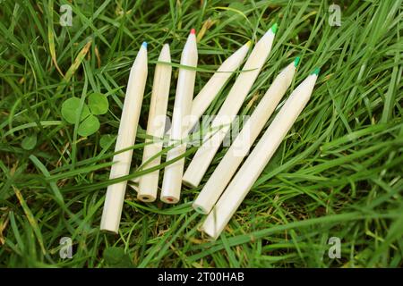 penne colorate disposte nei colori dell'arcobaleno su prato erboso nel corso dell'arcobaleno alla luce del giorno. matite in legno multicolore lucido Foto Stock