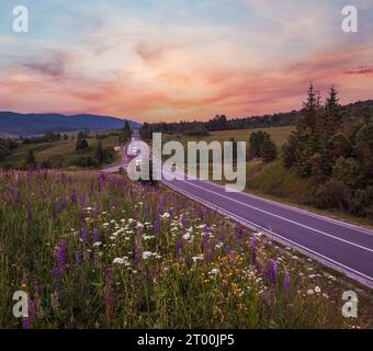 Crepuscolo giugno Carpazi montagna campagna prati. Con bellissimi fiori selvatici Foto Stock