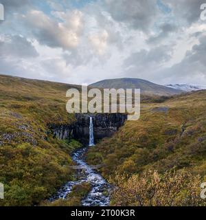 Pittoresca cascata Svartifoss (islandese per cascata nera, circondata da colonne di basalto di lava scura) vista autunno, Skaftafell Foto Stock