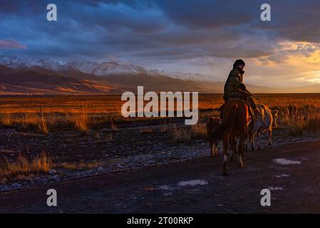 I pastori conducono un branco di mucche sulla strada per il villaggio al tramonto Foto Stock