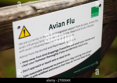 Cartello informativo e di avvertimento sull'influenza aviaria. Foto Stock