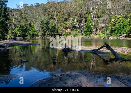 Il fiume Hacking a Currawong Flat, Royal National Park, nuovo Galles del Sud, Australia Foto Stock