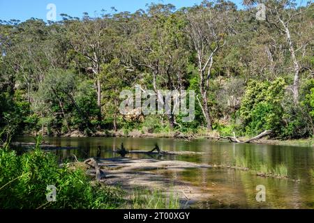 Il fiume Hacking a Currawong Flat, Royal National Park, nuovo Galles del Sud, Australia Foto Stock