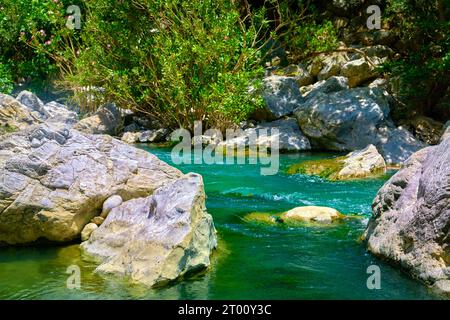 Acque limpide e fredde del fiume Kourtaliotis nella gola di Preveli, isola di Creta, Grecia. Messa a fuoco selettiva, messa a fuoco su primo piano, sfondo sfocato, rocce, flusso d'acqua, cespugli, riva del fiume, soleggiato, giorno, sole estivo, vacanze, escursioni e trekking. Foto Stock