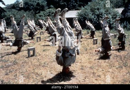 Tai ji zhang san feng il Maestro Tai-chi anno : 1993 Hong Kong Direttore : Woo-ping Yuen Foto Stock