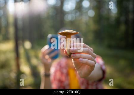 Fungo in mano a un escursionista sfocato con il telefono cellulare. Vacanze autunnali con la natura. Foto Stock