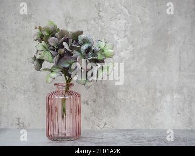 Fiore di ortensia con testa di mop verde sbiadito e viola essiccato in un vaso rosa d'epoca su uno sfondo di cemento grigio pallido con spazio per la copia Foto Stock