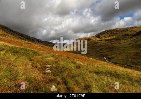 Glen of the Gairland Burn a Galloway, Scozia Foto Stock