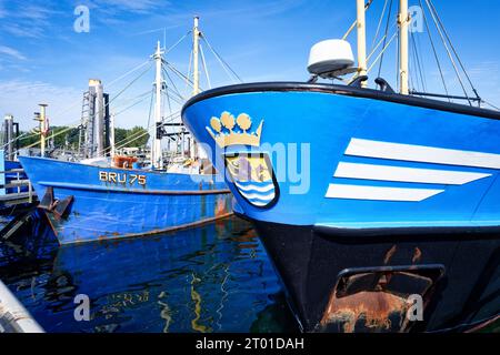 Bruinisse, Paesi Bassi settembre 27 2023: Pescherecci blu ormeggiati nel porto di pesca di bruinisse in una giornata di sole Foto Stock