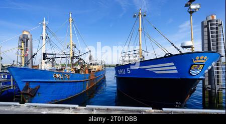 Bruinisse, Paesi Bassi settembre 27 2023: Pescherecci blu ormeggiati nel porto di pesca di bruinisse in una giornata di sole Foto Stock