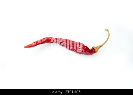 Rosso secco freddo su sfondo bianco Foto Stock