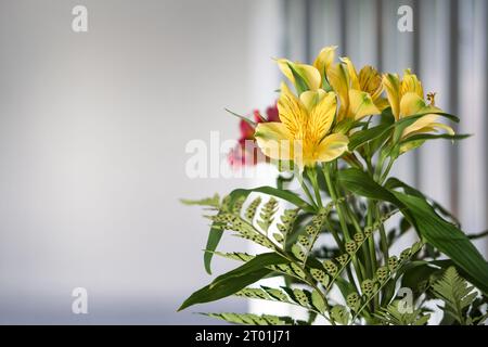 Bellissimi fiori gialli su sfondo grigio con spazio copia. Posiziona il testo a sinistra. Banner orizzontale. Invito, biglietto d'auguri Mock-up. Foto Stock