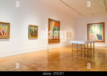 Sala con dipinti e altre opere con il tema "Fauvism Revived" dall'artista nella galleria del Museo Matisse a Nizza, in Francia. (135) Foto Stock