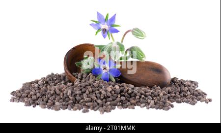 Semi di borragine con fiori in cucchiaio di legno, isolati su sfondo bianco. Borago officinalis semi e fiori. Foto Stock