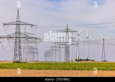 Panorama con innumerevoli pali e linee elettriche accanto a una centrale solare con turbine eoliche in campagna Foto Stock