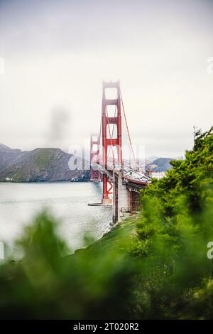 Golden Gate Bridge a San Francisco durante il tempo nebbioso, piante sfocate in primo piano. Foto Stock