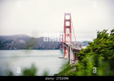 Golden Gate Bridge a San Francisco durante il tempo nebbioso, piante sfocate in primo piano. Foto Stock