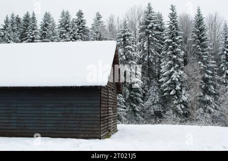 Piccola casa in legno coperta di neve nella foresta, Gorski kotar, Croazia Foto Stock