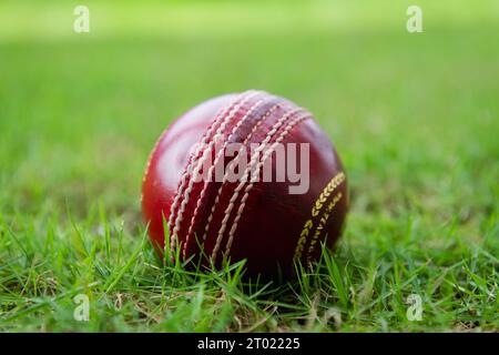 Palline da cricket sul campo da gioco Foto Stock