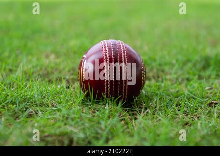 Palline da cricket sul campo da gioco Foto Stock