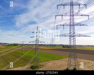 Vista aerea di una fila di piloni ad alta tensione con molte linee elettriche nell'area rurale fino all'orizzonte Foto Stock