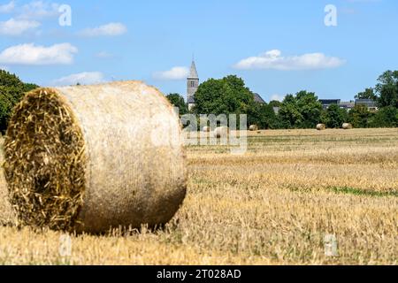 Tracteur charge de bottes de paille sur une Route de campagne trattore caricato con balle di paglia su una strada di campagna Foto Stock