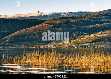 Ammira il lago di Biel da Täuffelen-Gerolfingen a Ligerz, Twann e il Chasseral ancora innevato sullo sfondo Foto Stock